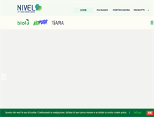 Tablet Screenshot of nivel.it